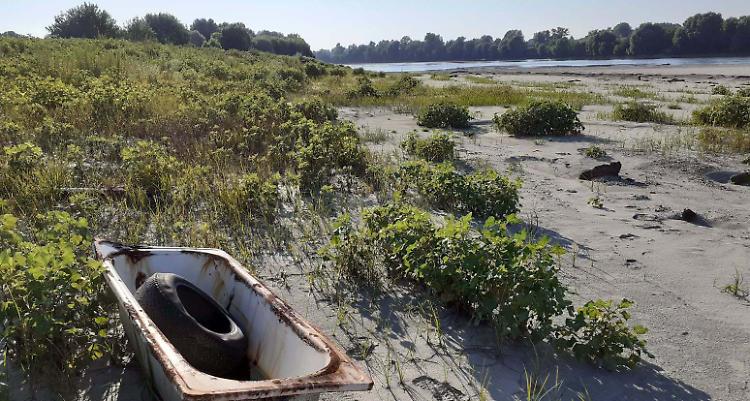 Gli spiaggioni del Po come una discarica 