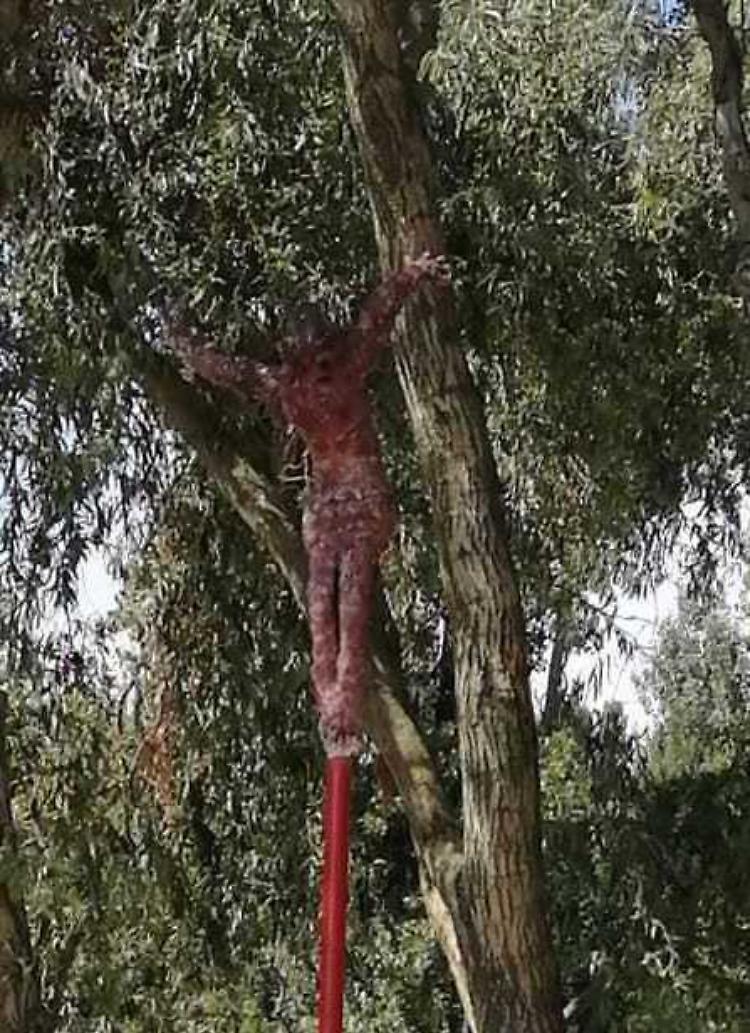 Il Cristo del Po ora sorveglia il Grande Fiume