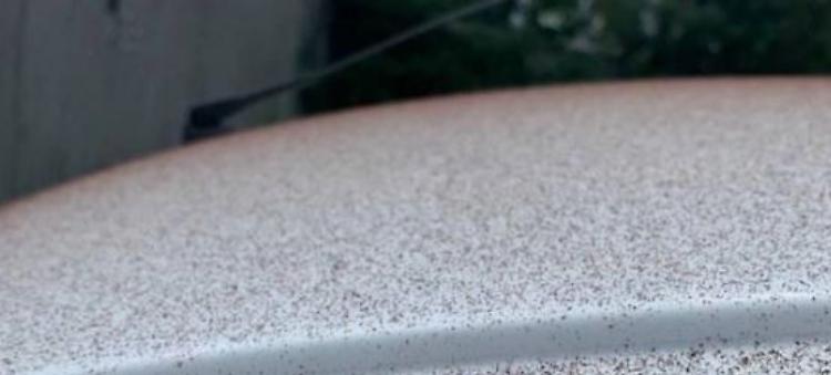 Svizzera: guasto a fabbrica Lindt, piove cioccolato