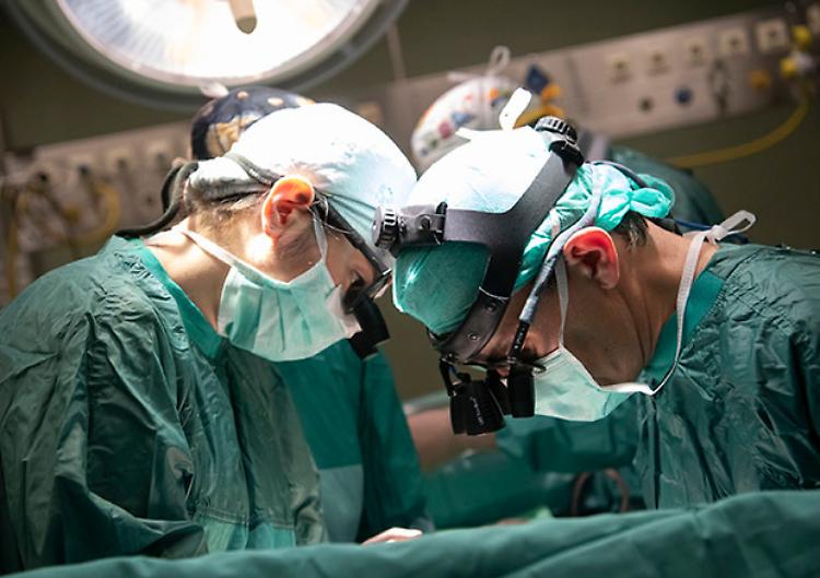 Doppio trapianto con fegato diviso in due parti