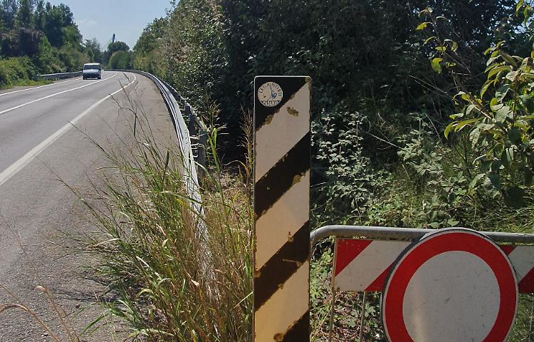 La ciclabile è ko: «Mangiata» dagli alberi