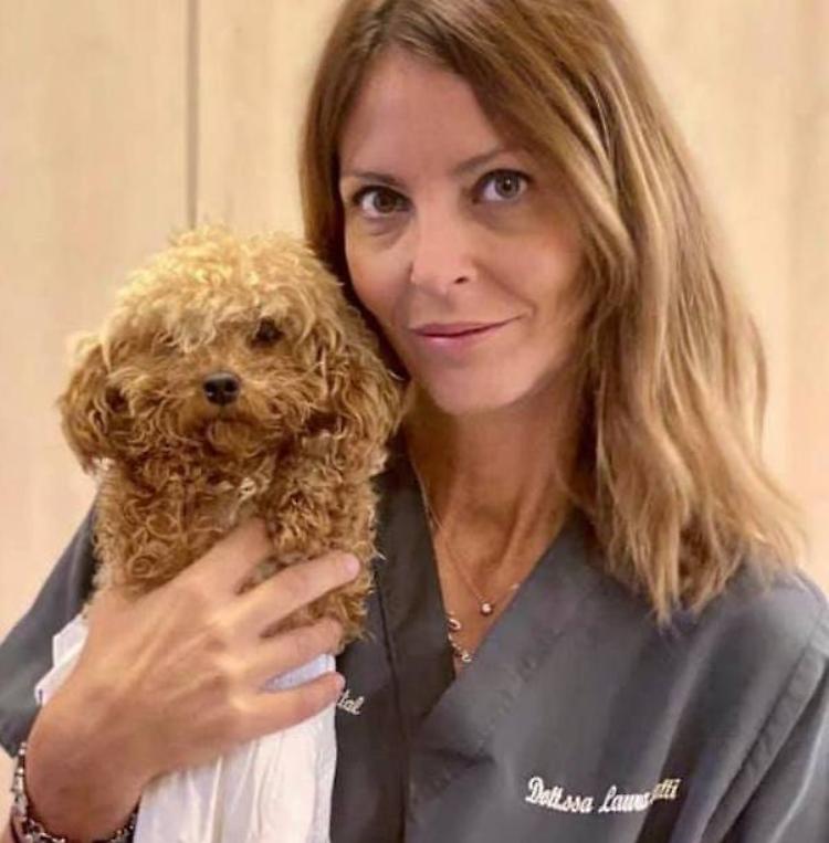 La denuncia: "Attenti al finto veterinario"