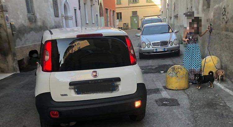 Per evitare le telecamere le auto vanno contromano