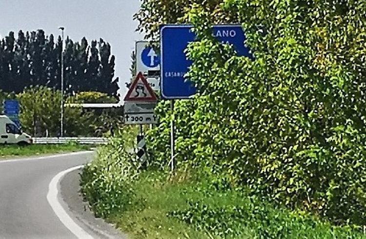 Cartelli soffocati dall'erba. I Comuni sono in difficoltà