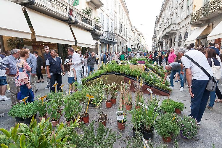 Con le Invasioni Botaniche Cremona si tinge d'autunno