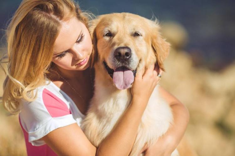 Giornata del cane, qual è il tuo rapporto con Fido?