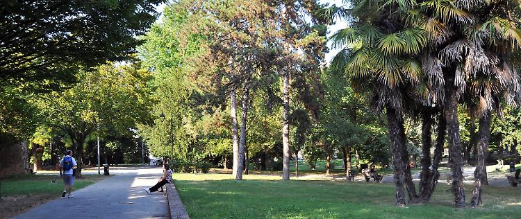 Parchi e giardini a nuovo con mezzo milione di euro
