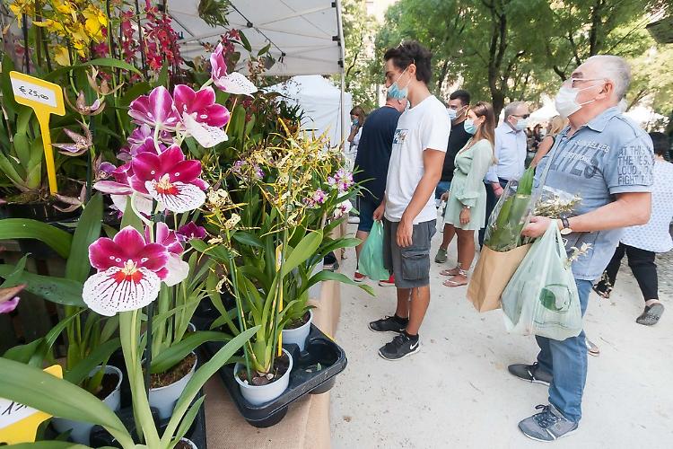 FOTO Le Invasioni Botaniche: gli scatti più belli di domenica
