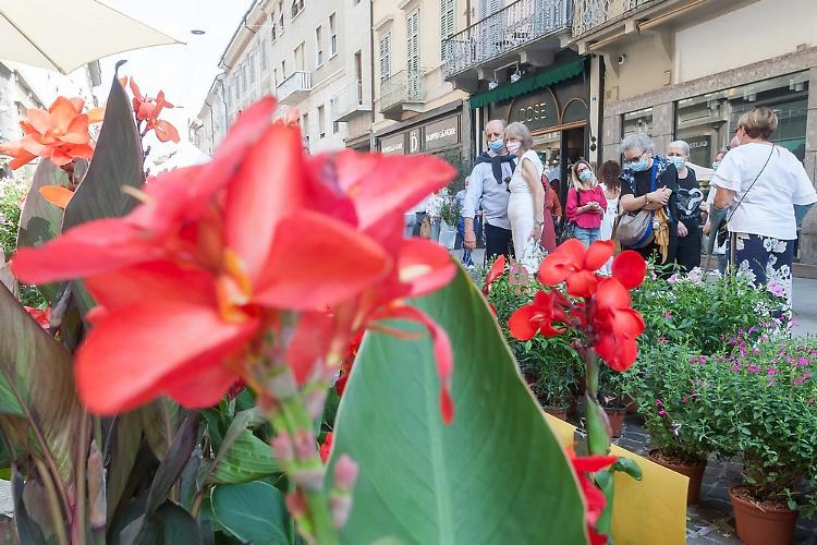 Invasioni Botaniche, successo strepitoso: e dal 2021 raddoppiano