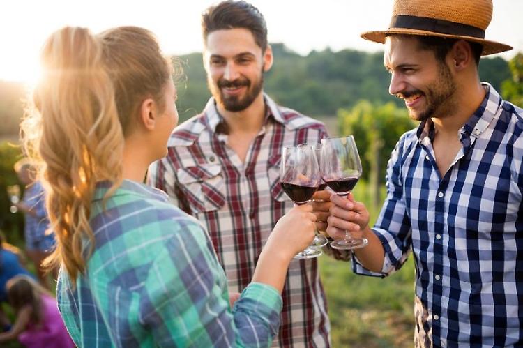 Vino: obiettivo enoturismo per 7 aziende su 10 Valpolicella