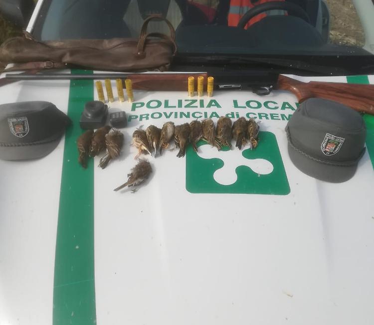 Bracconiere abbatte esemplari di fauna protetta, denunciato