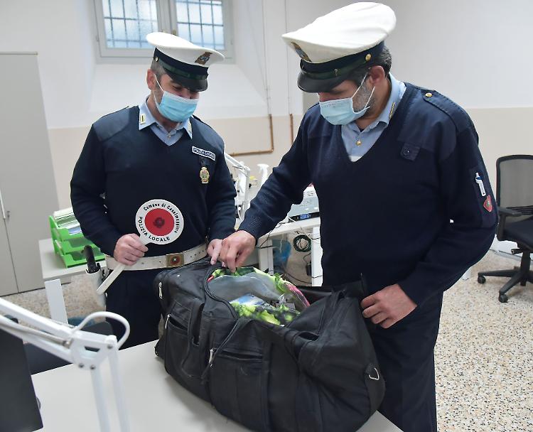 Sequestrata la merce a un 48enne all'Oglio Po