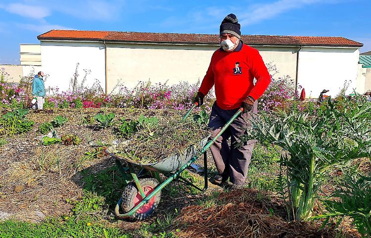 Orti sociali, scommessa vinta