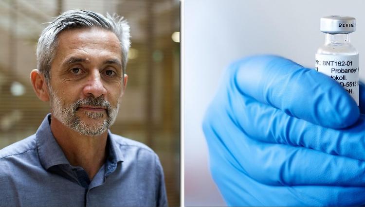 Lo scienziato: 'Nelle cellule T c’è il segreto dell’immunità'