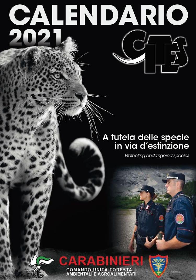 Flora e fauna a rischio estinzione nel calendario Cites 2021