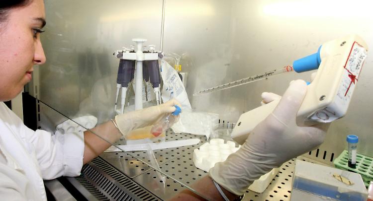 Nel sangue i segreti del Covid: «Il Gruppo 0 è il più protetto»
