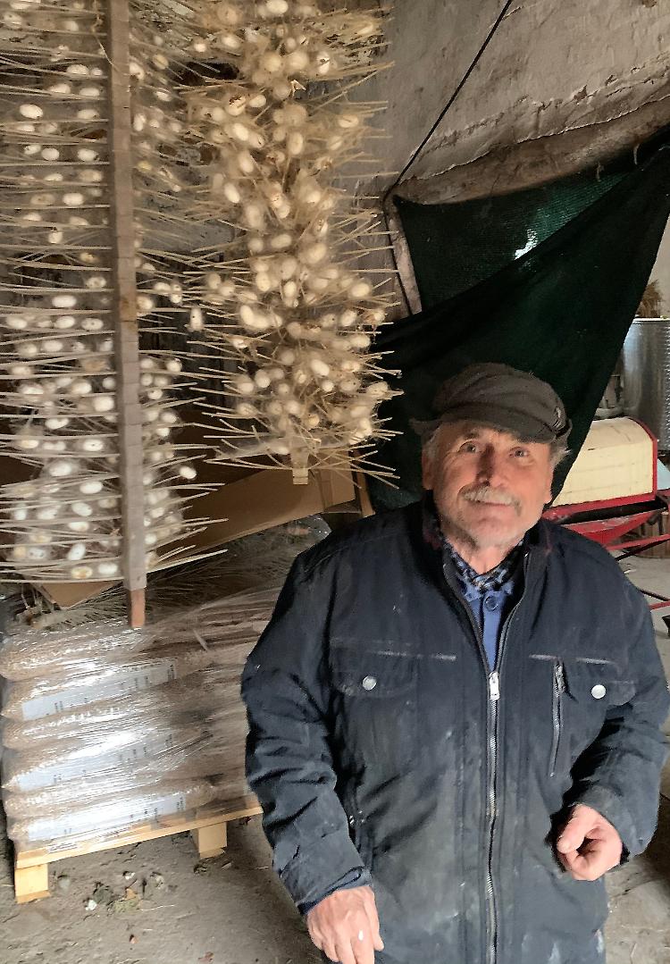 Bachi da seta: l’ultimo maestro