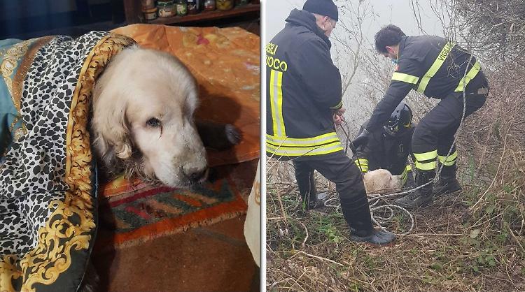 Bloccato nel fiume, Spank salvato dai pompieri