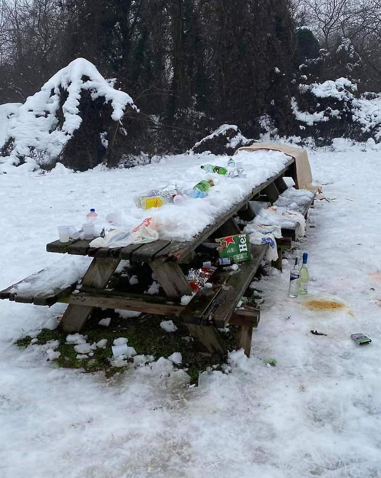 Vandali al parco del Serio tra danni e immondizia