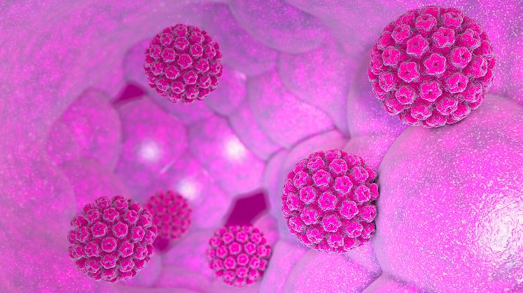 Papilloma Virus, nuovo screening a Cremona e Crema