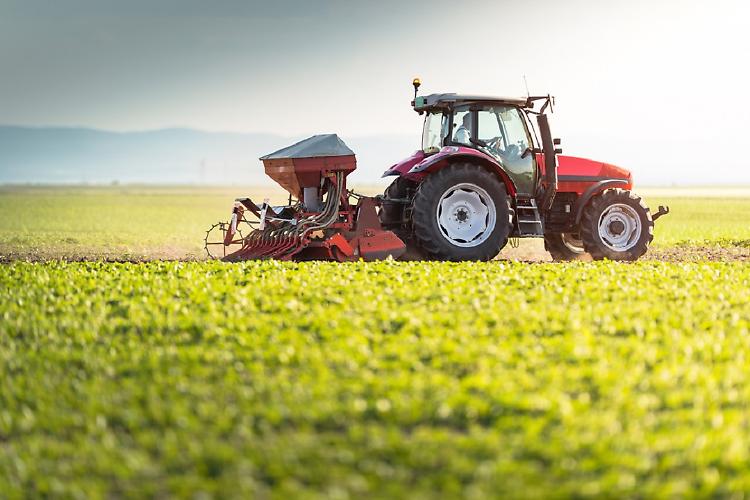 Agricoltura, aumentano fatturato ed export ma cala la redditività delle imprese