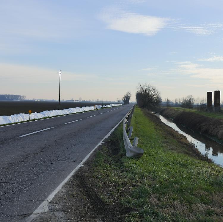 Un’auto investe un cinghiale, conducente illeso