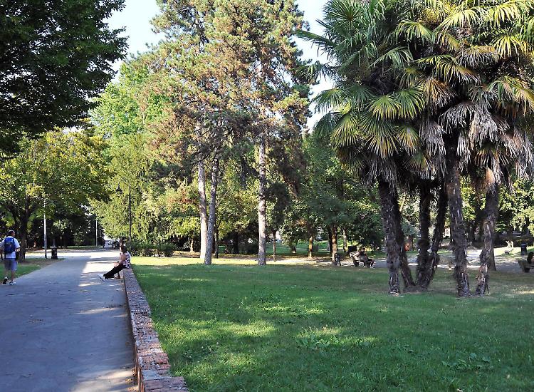 Censimento, alberi in città. Contati,  sono ottomila