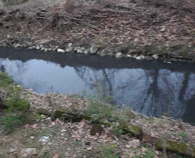 Il Morbasco è nero 