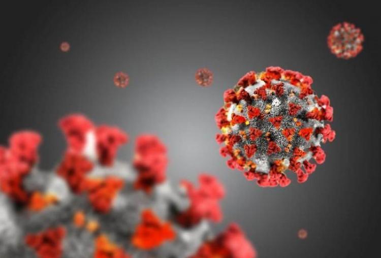 Da inizio pandemia a vaccini in meno di un anno