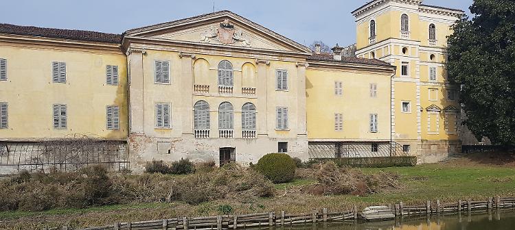 Villa Sommi denudata: il parassita ha divorato la siepe