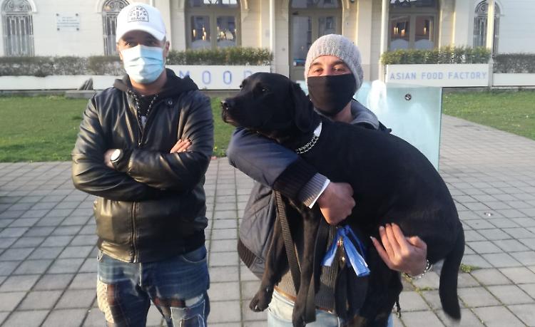 Anziano nel fiume, salvato da quattro passanti  e dal labrador Zaccaria