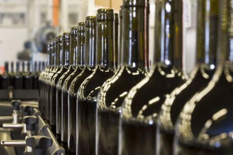 "Vino adulterato", 6 imprenditori indagati in Oltrepò Pavese