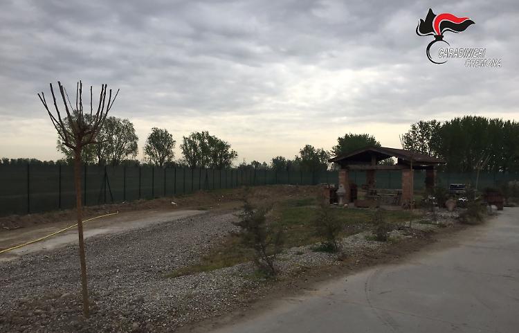 Dieci alberi rubati, 20enne denunciato per ricettazione