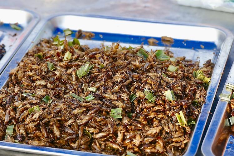 Insetti, la nuova frontiera del food?