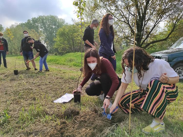 Le immagini della piantumazione degli studenti di Crema
