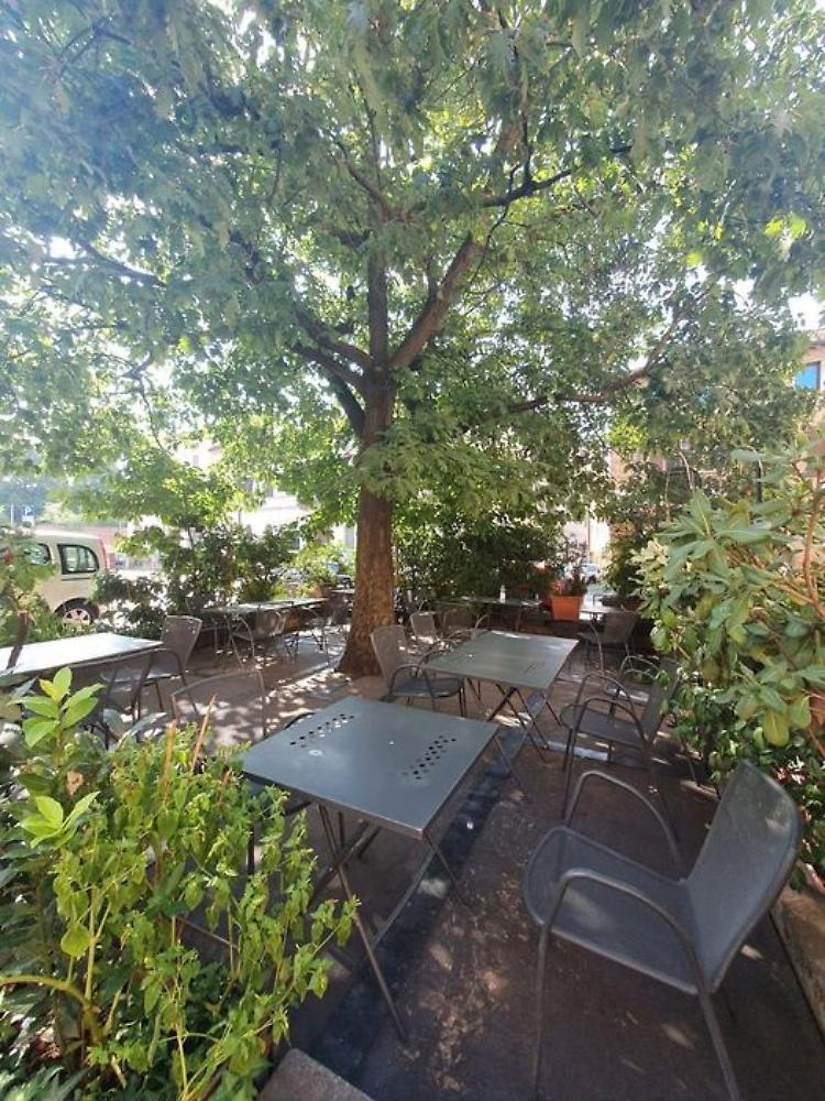 «L'Osteria San Michele rischia di perdere il plateatico sotto l'albero»