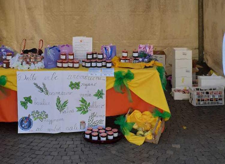 Piccoli apicoltori al Marconi: «La scuola dal cuore verde»