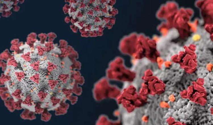 "Long Covid", disturbi intestinali anche a 5 mesi dalla guarigione