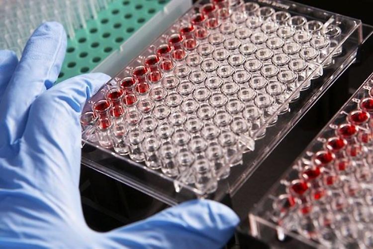 Malattie rare, accordo tra Omar e Società italiana genetica umana