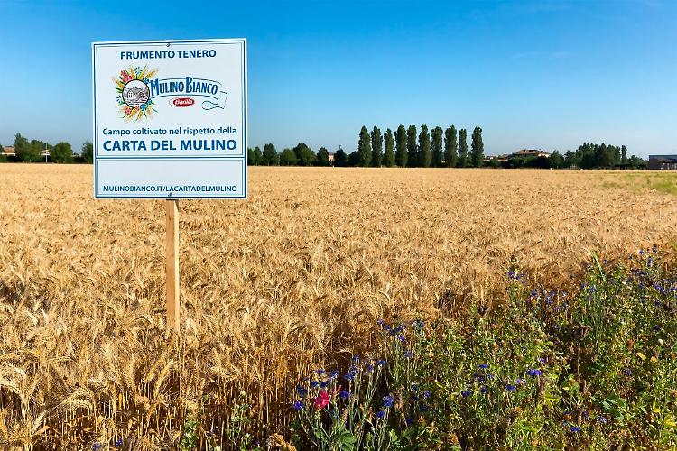 Barilla, continua a crescere l'impegno per la sostenibilità