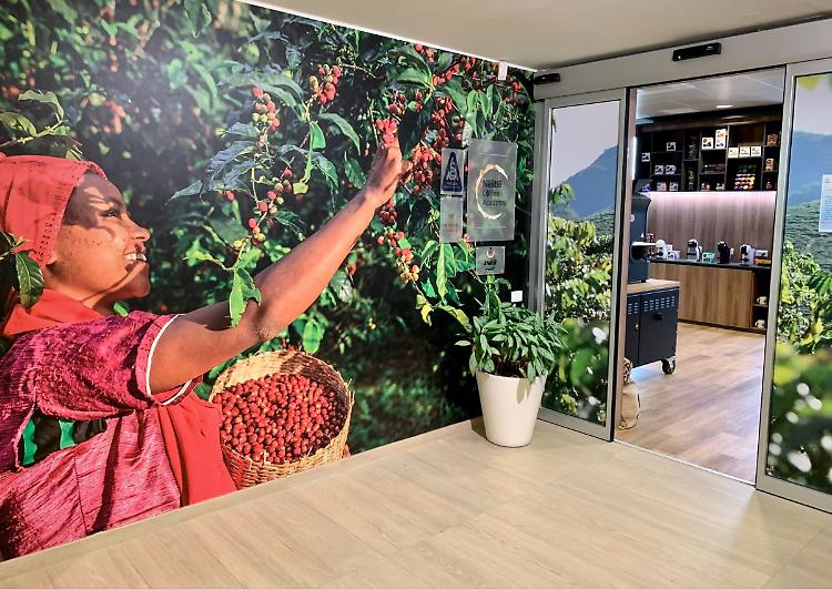 Coltivazione di caffè più green, Nestlé lancia il Nescafé Plan 2030