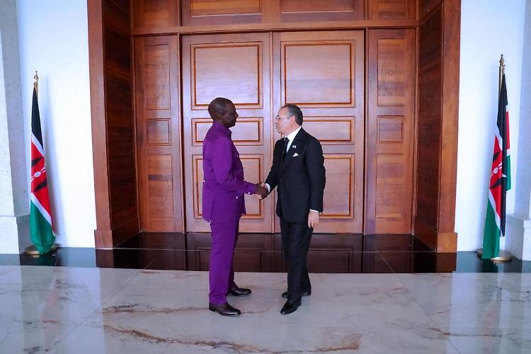 Ghribi "In Kenya grandi potenzialità. Partnership eque per l'Africa"