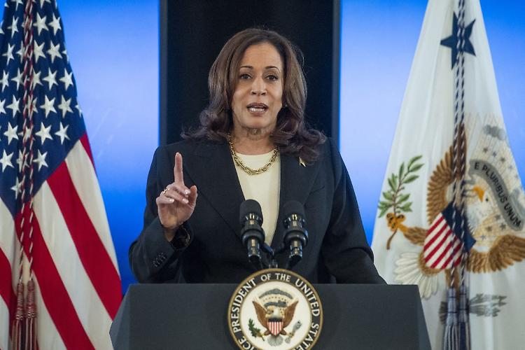 Kamala Harris e Tim Walz: gli Underdog che Sfideranno Trump per la Casa Bianca