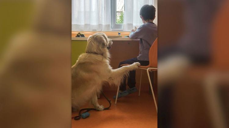 Purina insieme a Frida's Friends per la Pet Therapy al Fatebenefratelli