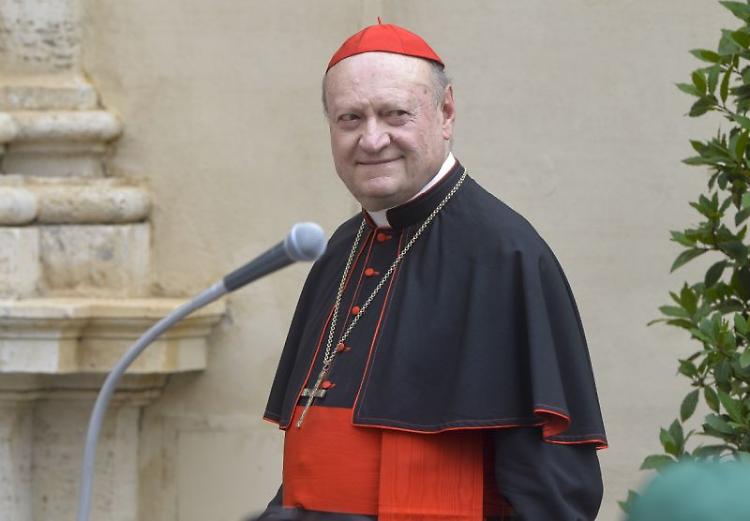 Cardinale Ravasi "Dimissioni del Papa? Potrebbe farlo"