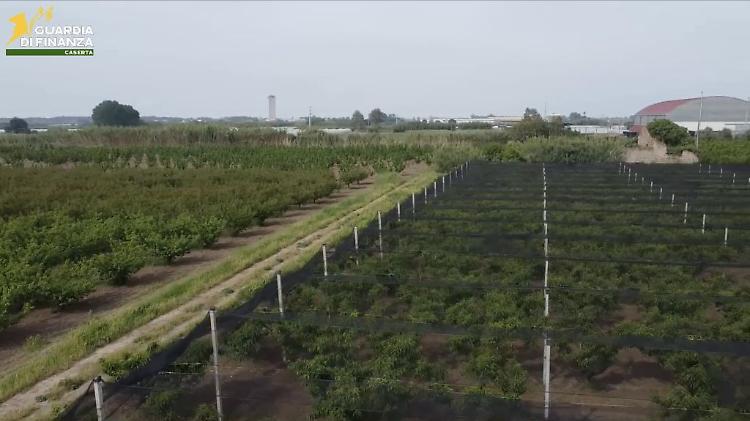 Caserta, frodi in finanziamenti Ue. 12 arresti e sequestri per 9,5 mln