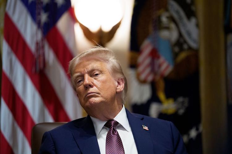 Trump "Serve identificazione elettori, stop voto per corrispondenza"