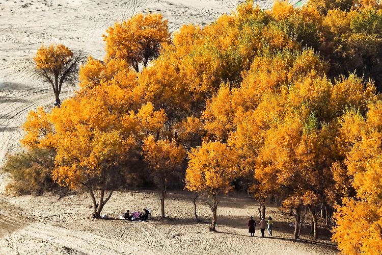 Cina, nello Xinjiang produzione di petrolio greggio supera 1,7 mln di tonnellate