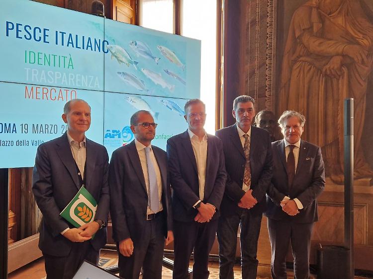 Acquacoltura e pesca, pi&ugrave; trasparenza e informazione per valorizzare Made in Italy