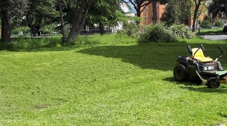 Ai nastri di partenza il primo Libro Bianco del Verde